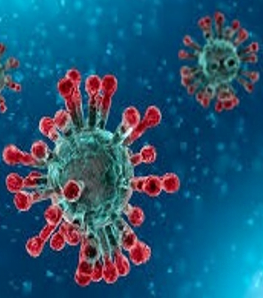 Coronavirus: aggiornamento sui servizi offerti da Asla onlus