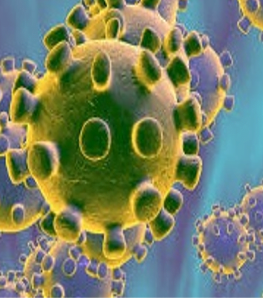 Coronavirus, OMaR mette a disposizione dei cittadini oltre 25 esperti online