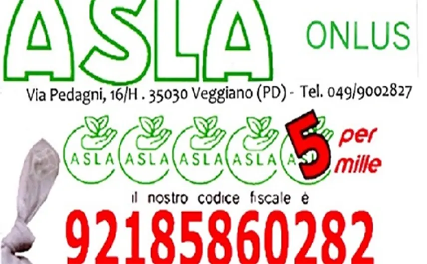 Dona il 5 x mille ad Asla - ASLA Associazione Sclerosi Laterale Amiotrofica